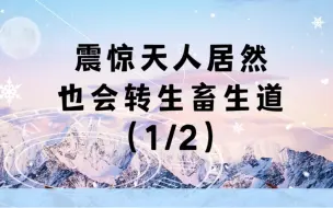 Download Video: 你一定不知道的轮回冷知识1