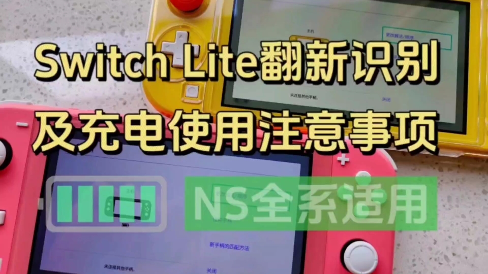 识别恐怖的NS Lite翻新机!(条码&系统篇),内含Switch充电安全注意指南!哔哩哔哩bilibili