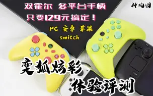 Télécharger la video: [游戏手柄]129元双霍尔手柄守门员 奕狐炫彩多平台switch pc 安卓 苹果入门好手柄