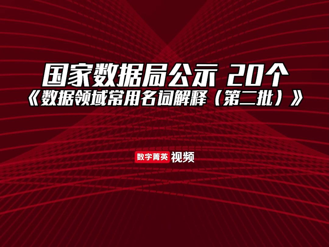 国家数据局公示 20个《数据领域常用名词解释(第二批)》哔哩哔哩bilibili