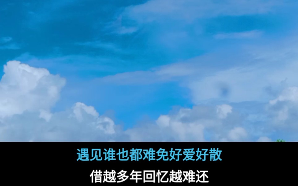 这局是尽力局