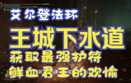 [图]【艾尔登法环】鲜血君王的欢愉获取方式，王室下水道行走路线超级详细攻略，保姆级教学