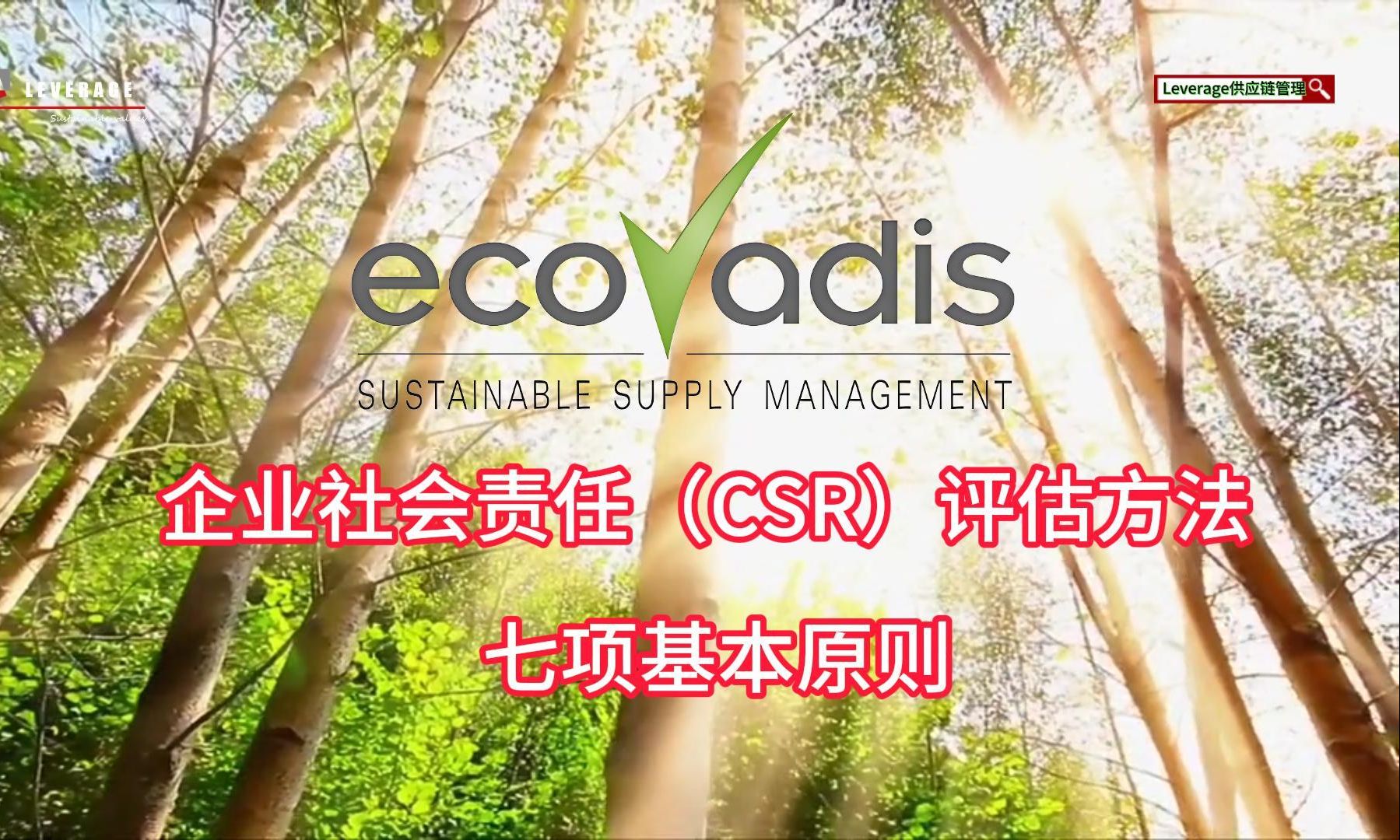 EcoVadis企业社会责任(CSR)评估方法七项基本原则哔哩哔哩bilibili