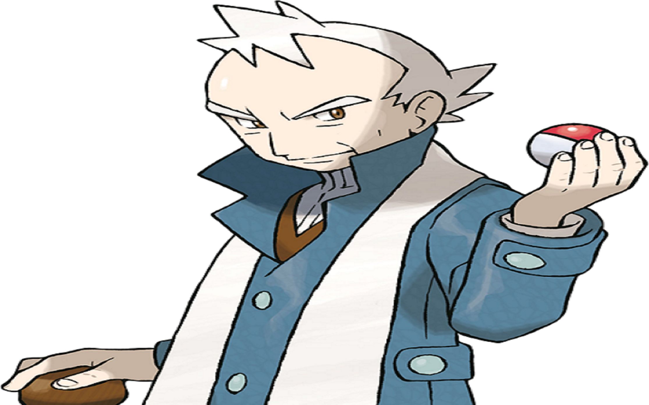 精灵宝可梦魂银 vs柳伯