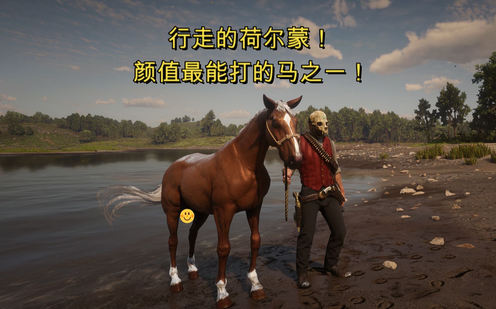 2:行走的荷尔蒙,颜值最能打的马之一,金帕洛米诺田纳西走马位置地点】