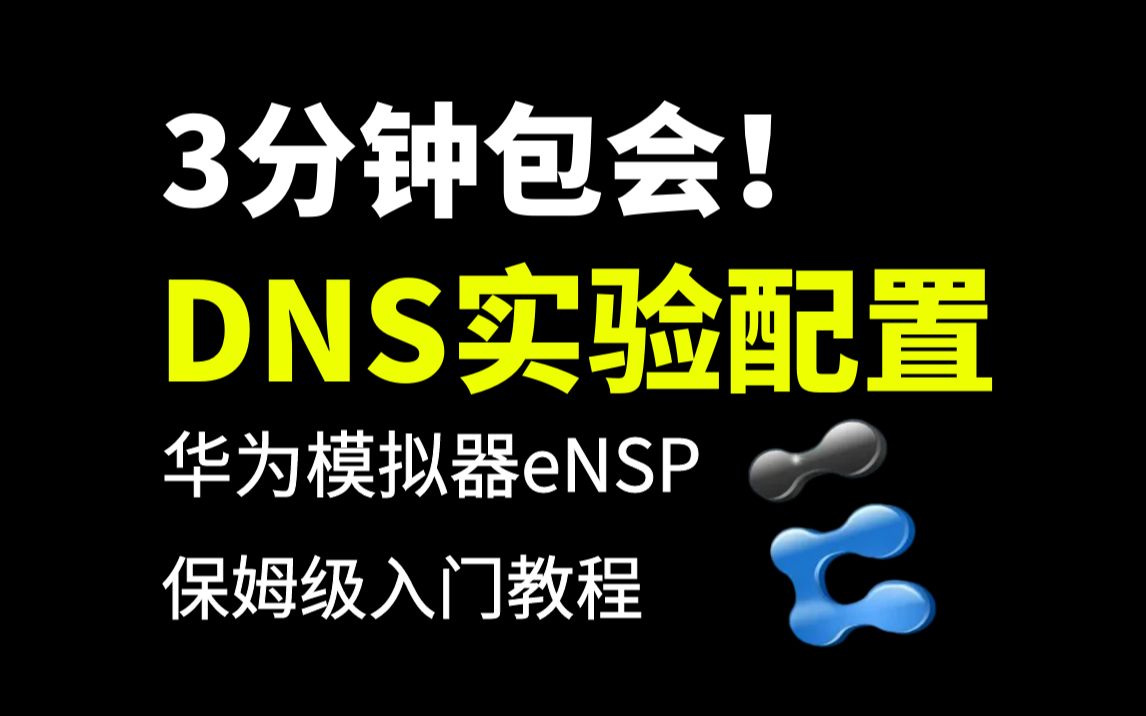 【DNS实验配置】网络工程师3分钟带你搞定,小白也能学会!哔哩哔哩bilibili