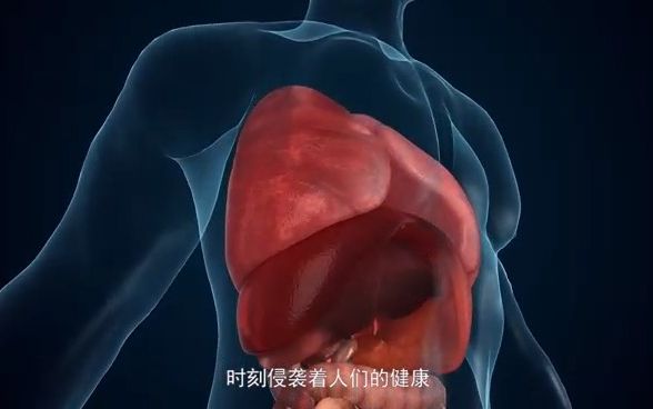 优波生命能量床哔哩哔哩bilibili