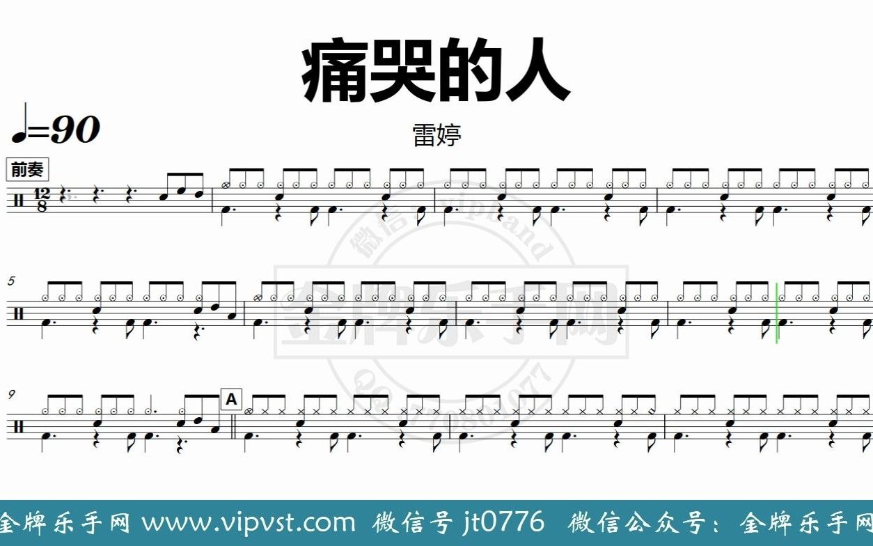 【金牌乐手网】DT0298.雷婷  痛哭的人 鼓谱 动态鼓谱 无鼓伴奏 drum cover 节拍器哔哩哔哩bilibili