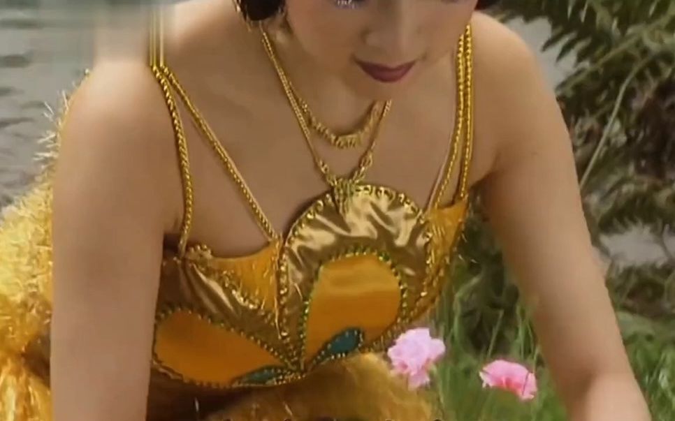 真的觉得孔雀公主和大鹏很有cp感