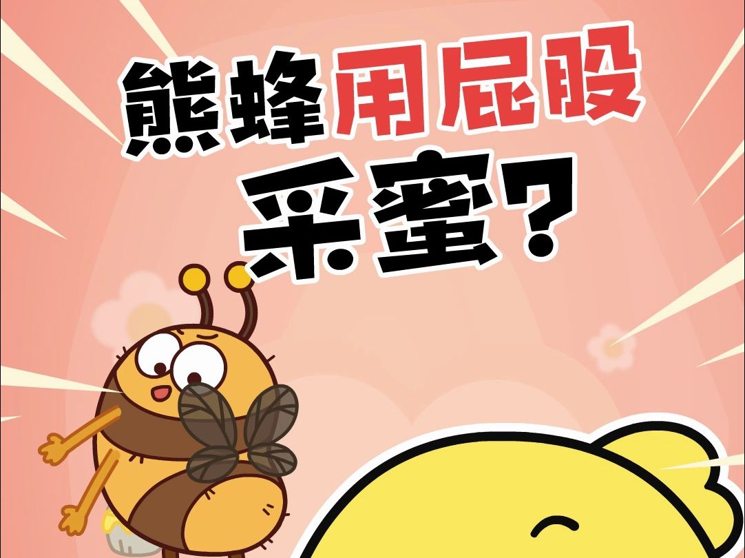 什么?熊蜂竟然用屁股采蜜?哔哩哔哩bilibili