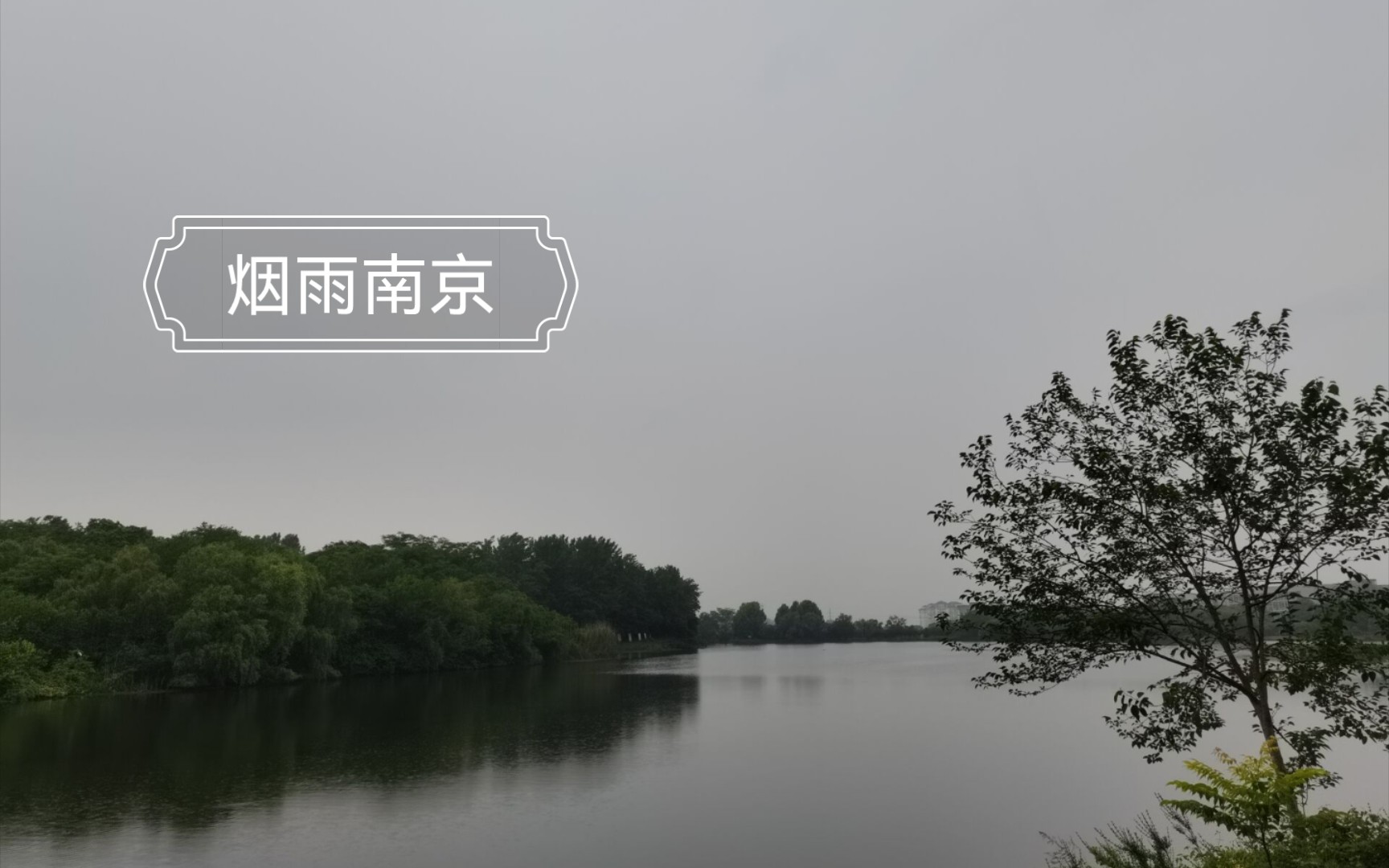 【南工程雨中天印湖/鹭鸟保护区】这是多少大学里没有的风景?哔哩哔哩bilibili