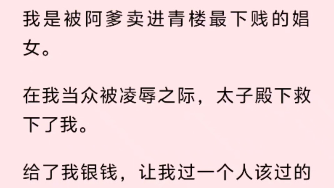 我是被阿爹卖进青楼最下贱的娼女.在我当众被凌辱之际,太子殿下救下了我.给了我银钱,让我过一个人该过的日子后来,太子殿下因巫蛊之术被杀.哔...