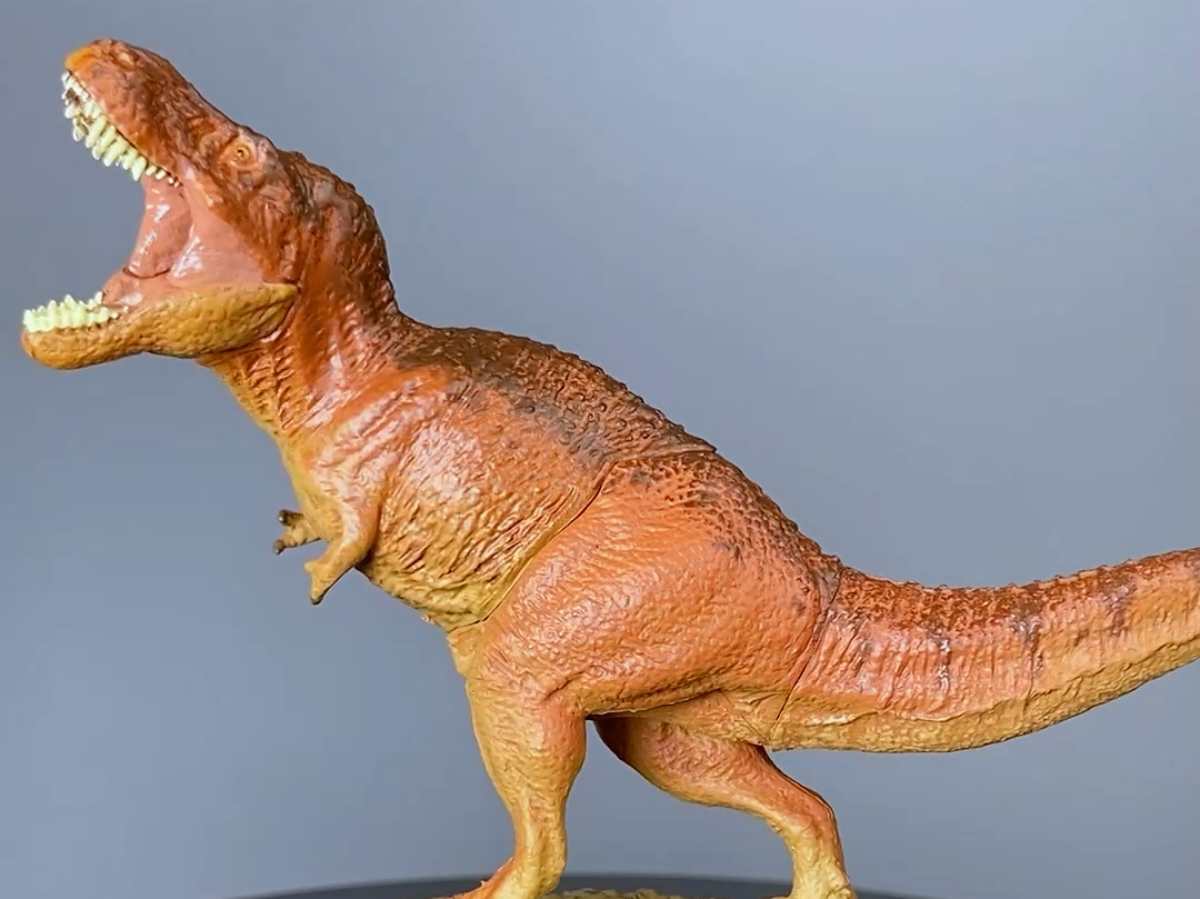 【呆头鹅模玩】万代恐龙扭蛋2