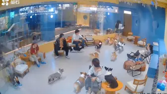 “这一刻才意识到监控存在的意义”