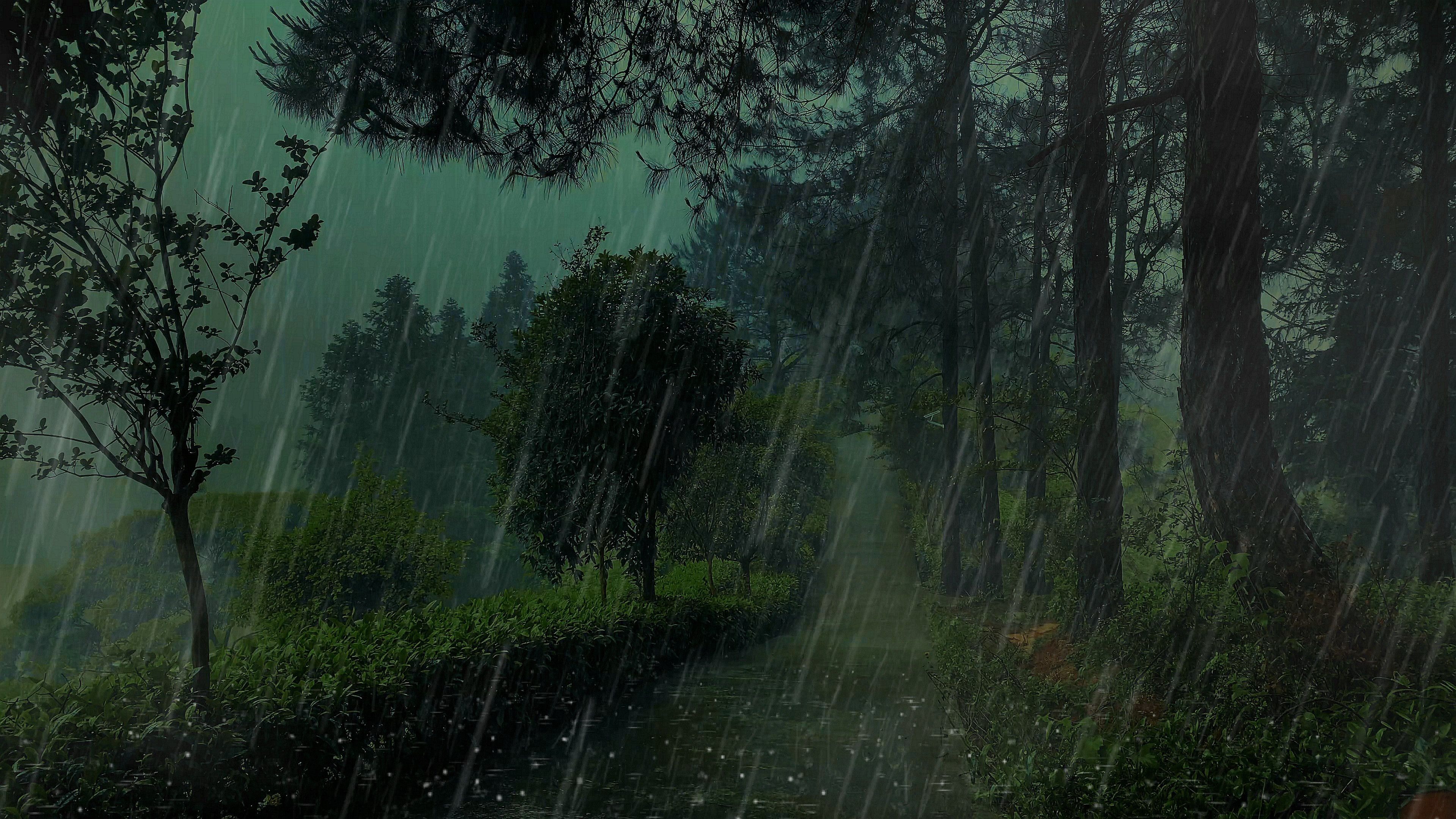 ✅雷暴雨中的宁静：4D高山夜雨ASMR｜失眠终结者·PTSD舒缓·深度助眠·焦虑缓解·专注学习背景音·沉浸式暴风雨白噪音·睡眠障碍克星·失眠终结者