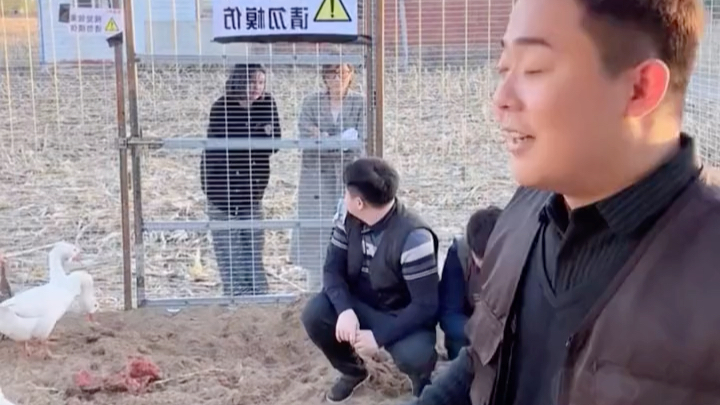 当超子看到品牌方是美女时,脑子里想的肯定是想吃牛排了