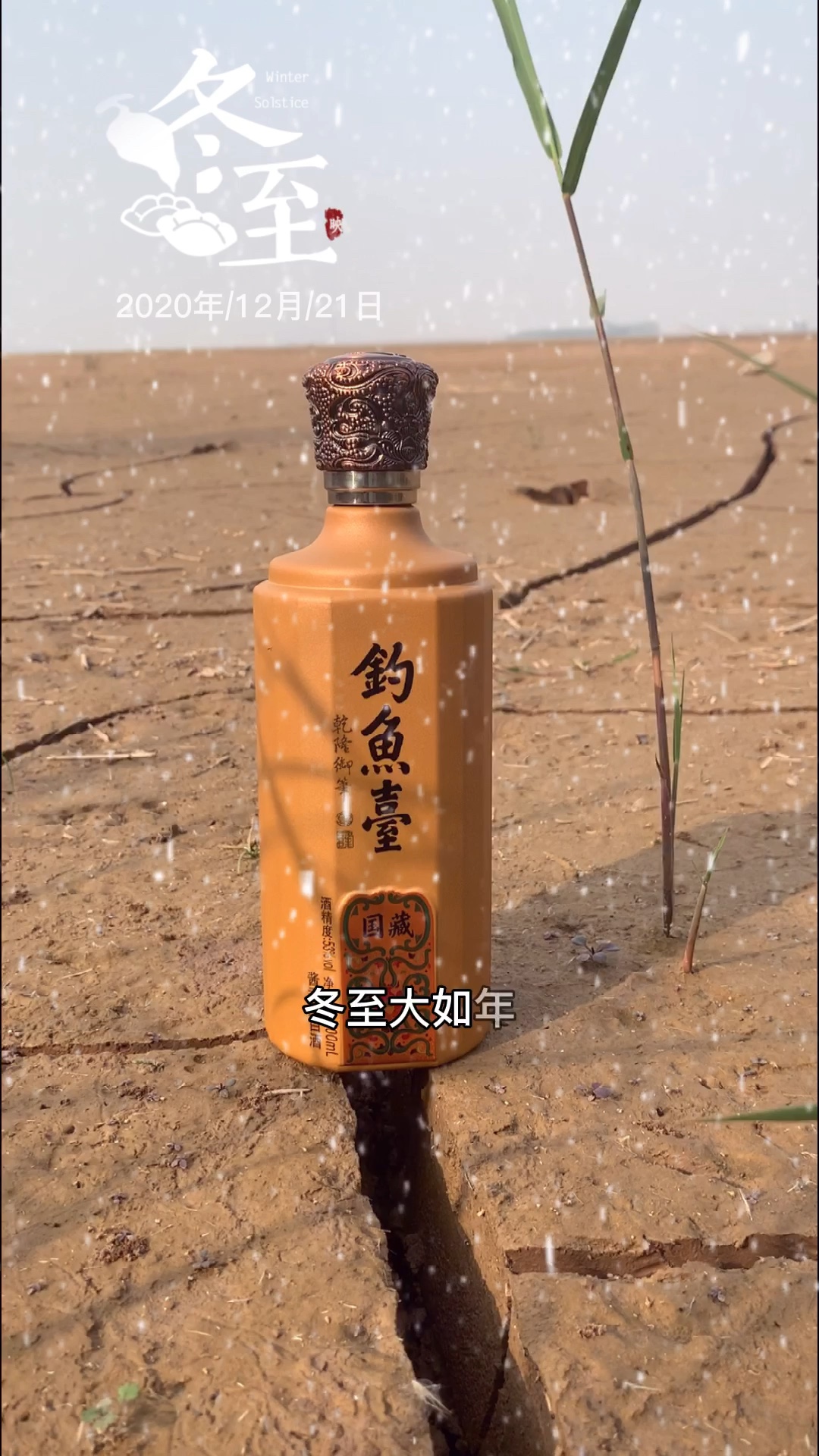 冬至吃饺子09钓鱼台国藏酒