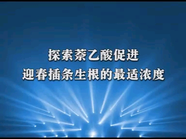 探索萘乙酸促进迎春插条生根的最适浓度高中生物哔哩哔哩bilibili