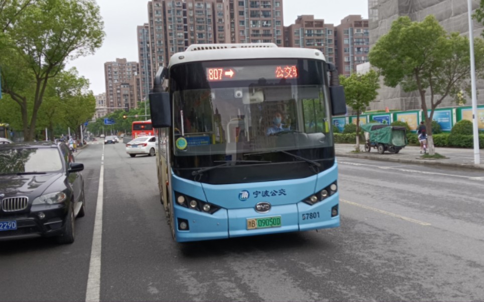 宁波公交集团镇海公司807路公交骆驼中心内环线全程第一视角6倍速pov