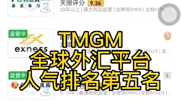 外汇平台TMGM哔哩哔哩bilibili