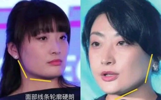 下巴宽厚有力,能撑起一片天的女人哔哩哔哩bilibili