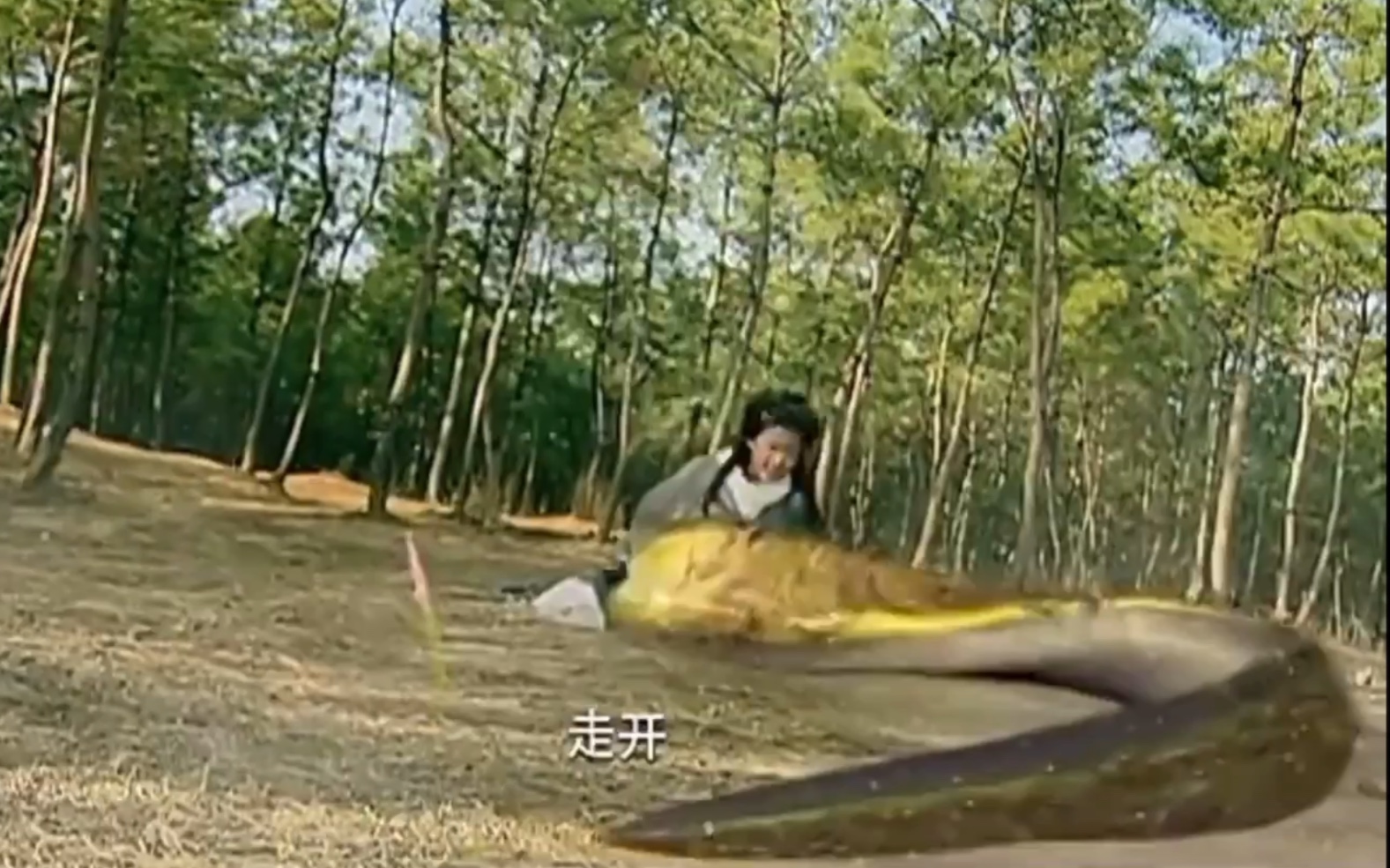 赵灵儿树林中展露女娃后人半人半蛇形象