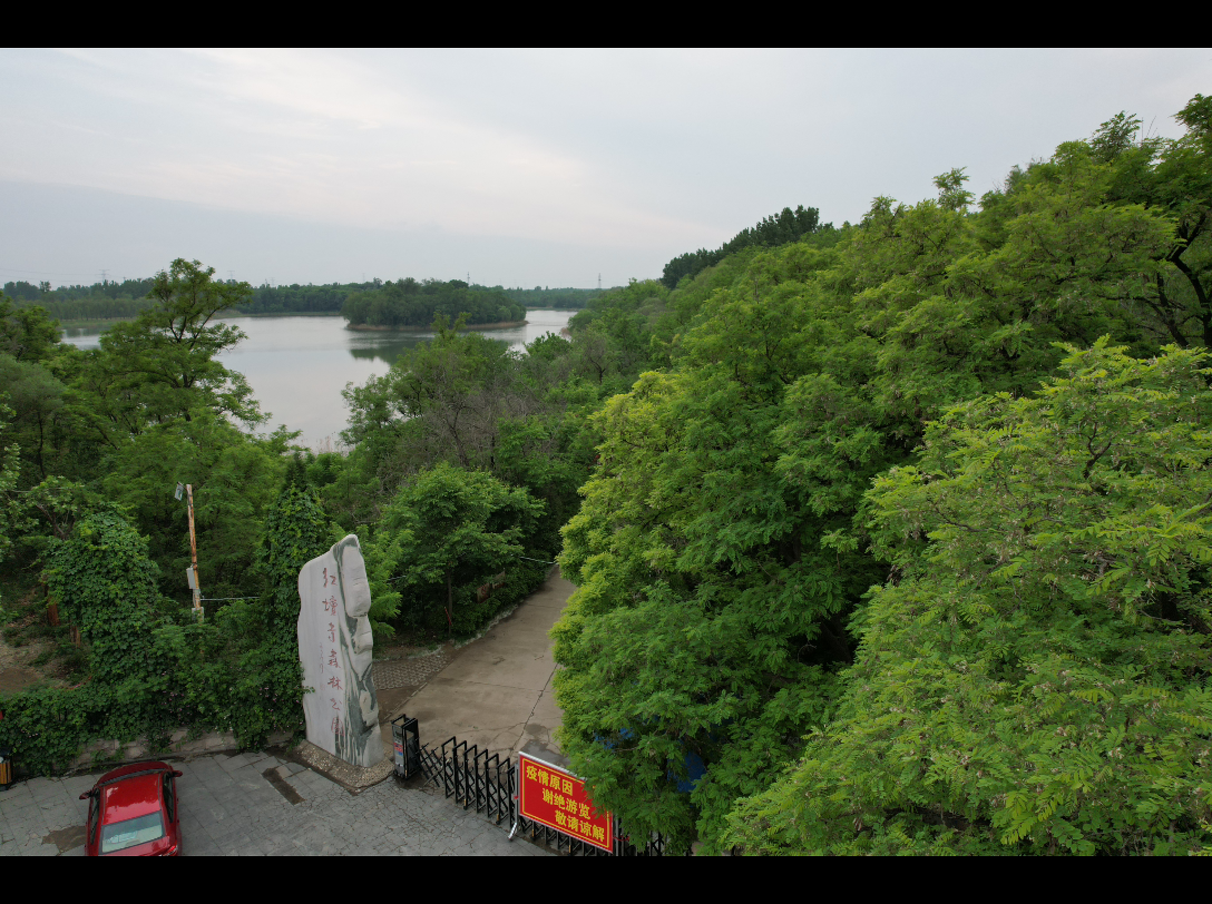 阴雨天气里的红坛寺森林公园