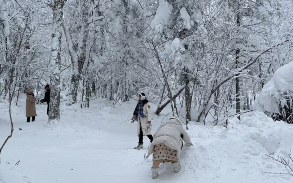 哈尔滨:十里画廊!林中下雪真的很美呀哔哩哔哩bilibili