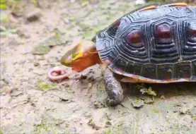 Скачать видео: 所有指责我的朋友难道就没有1%的可能性是你冤枉我小强了？