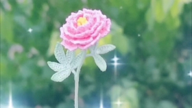 微钩石竹花染色 哔哩哔哩 つロ干杯 Bilibili