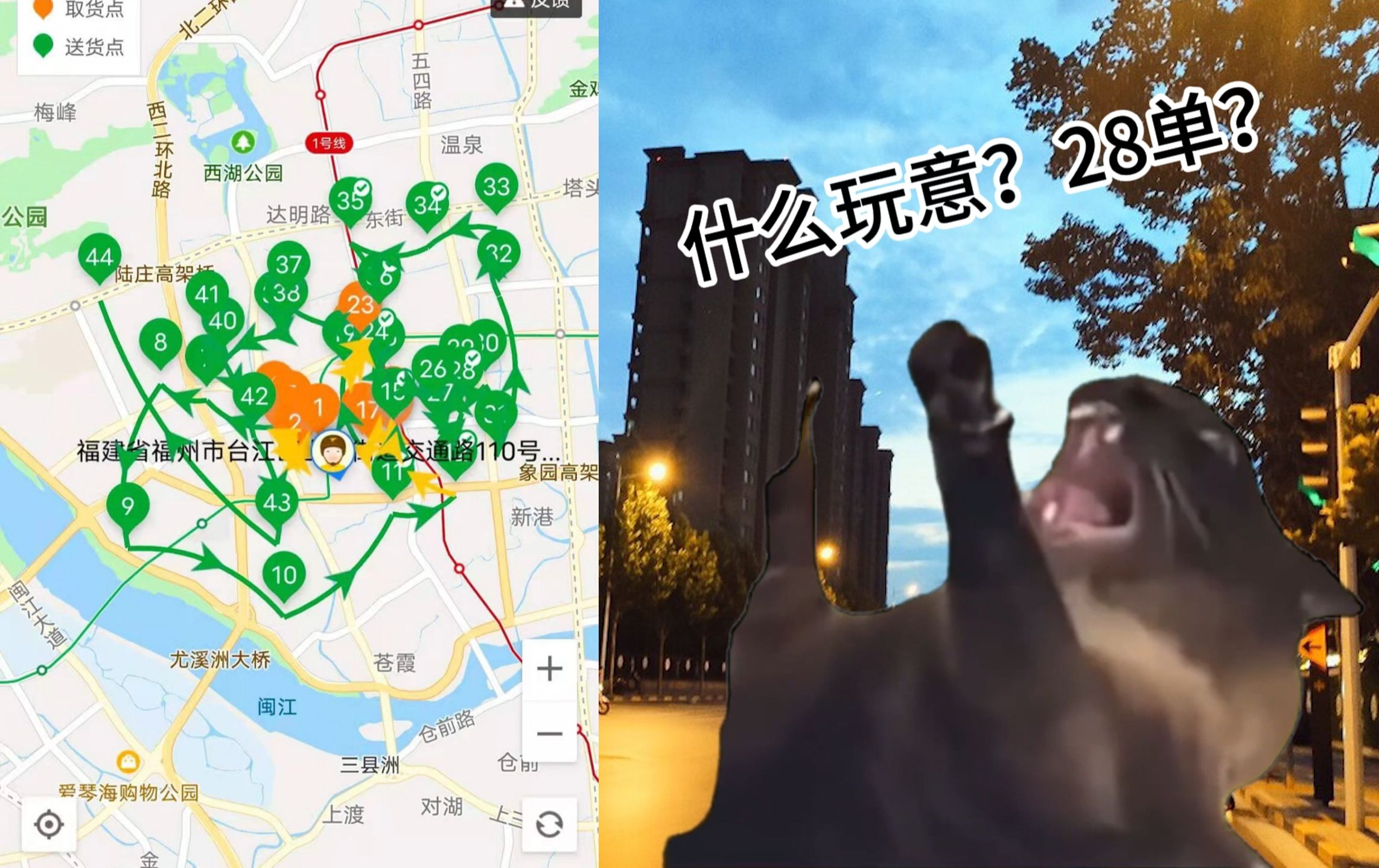 [图]【猫meme】关于跑个外卖不小心抢了28单这件事