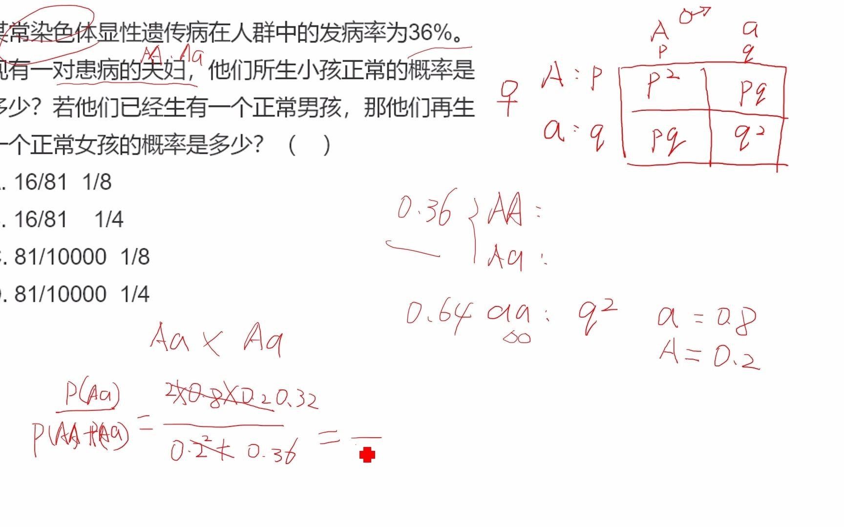 2遗传平衡定律哔哩哔哩bilibili