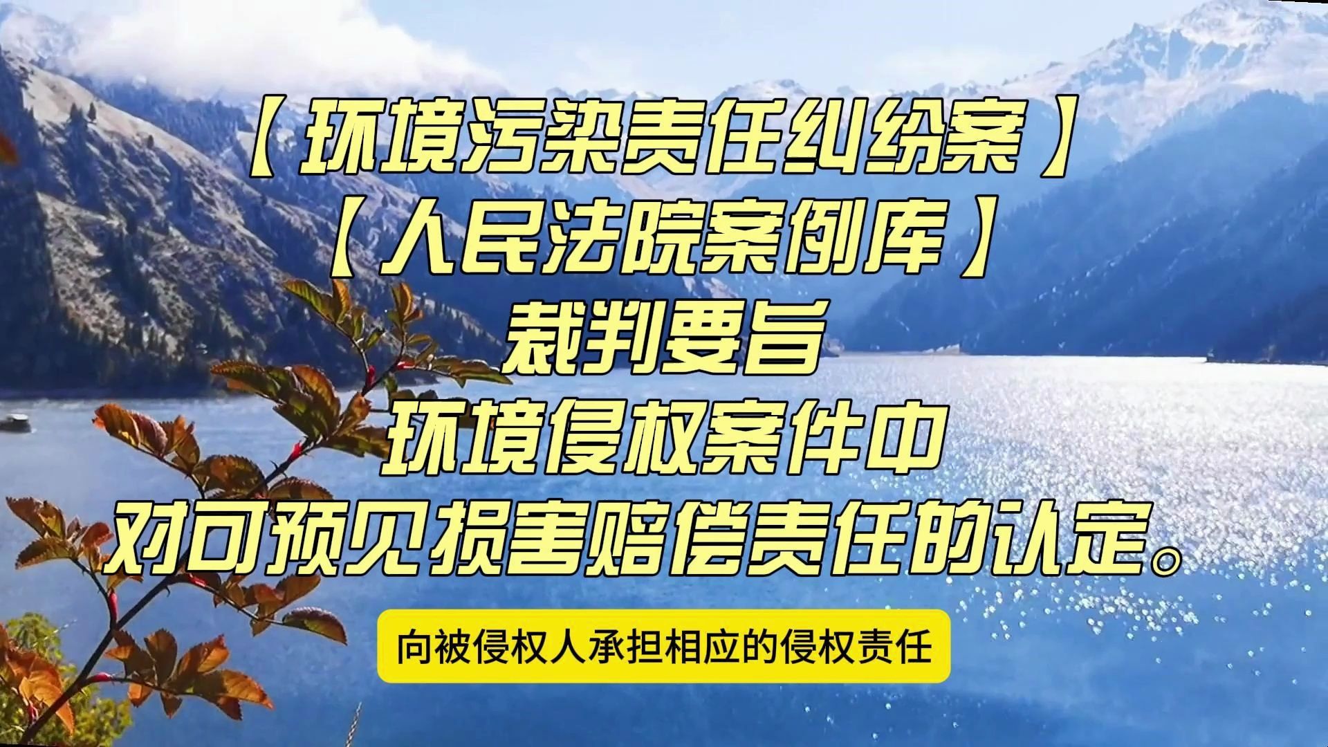 【环境污染责任纠纷案】【人民法院案例库】环境侵权案件中对可预见损害赔偿责任的认定.哔哩哔哩bilibili