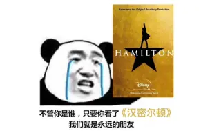 Download Video: 【请把监控拆掉谢谢】看完音乐剧Hamilton后的一天