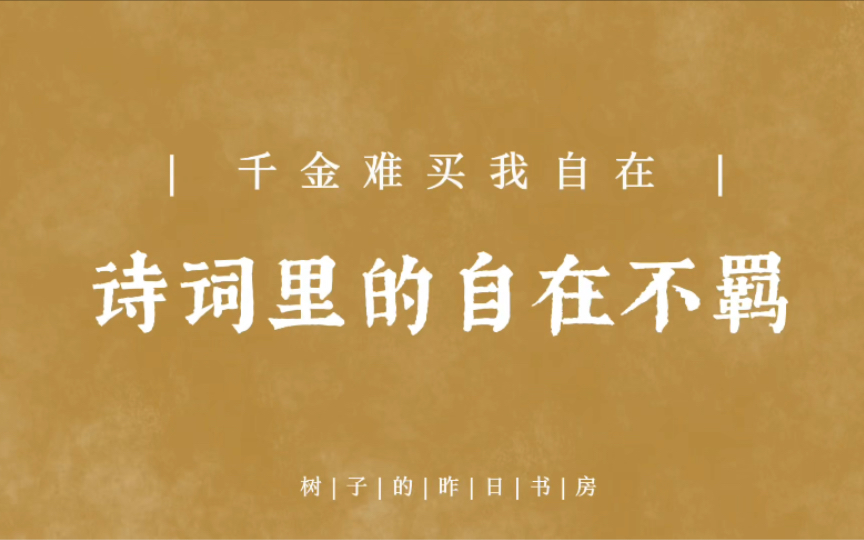 “我自人间漫浪,平生事、南北西东.”诗词里的自在不羁.哔哩哔哩bilibili