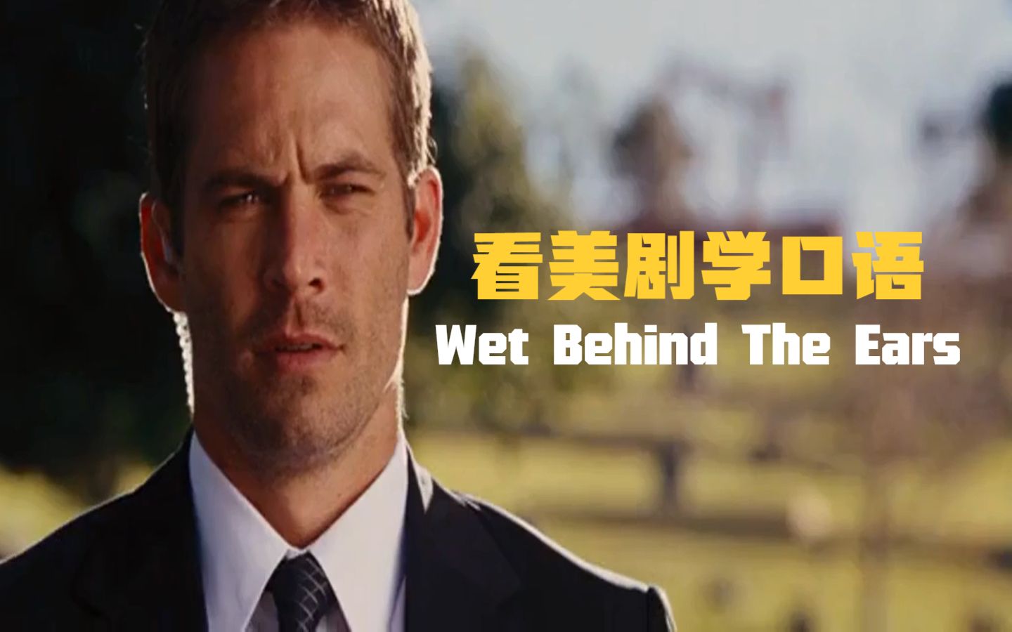 Still wet behind the ears,“耳后仍湿”?中英文不谋而合哦!哔哩哔哩bilibili