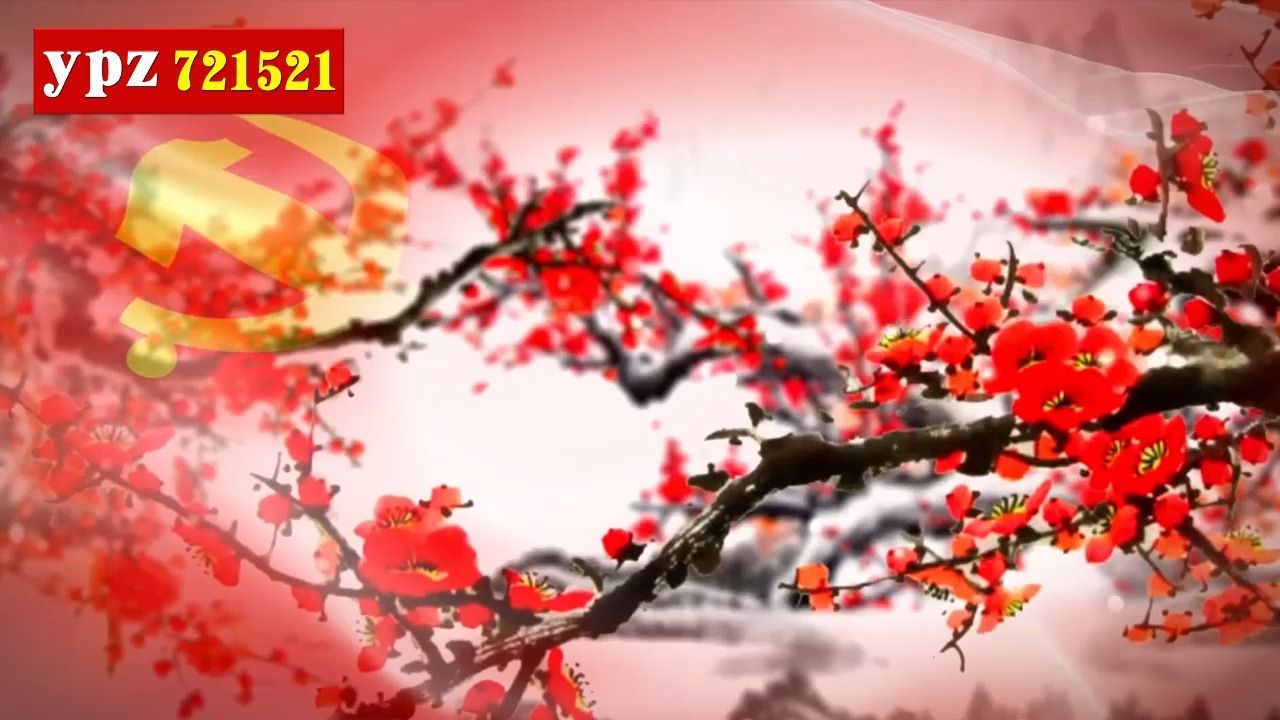 《红梅赞》原唱 背景视频