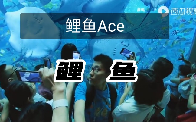 [图]“我相信我喜欢的人，就一定是最好的！”他就是@鲤鱼Ace！