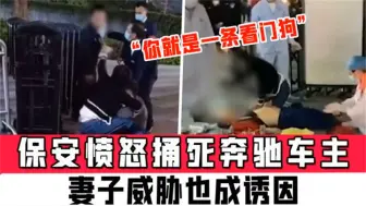 Download Video: 又是女人惹的祸？被车主妻子讥讽“你就是一条看门狗” 保安怒而捅死奔驰车主