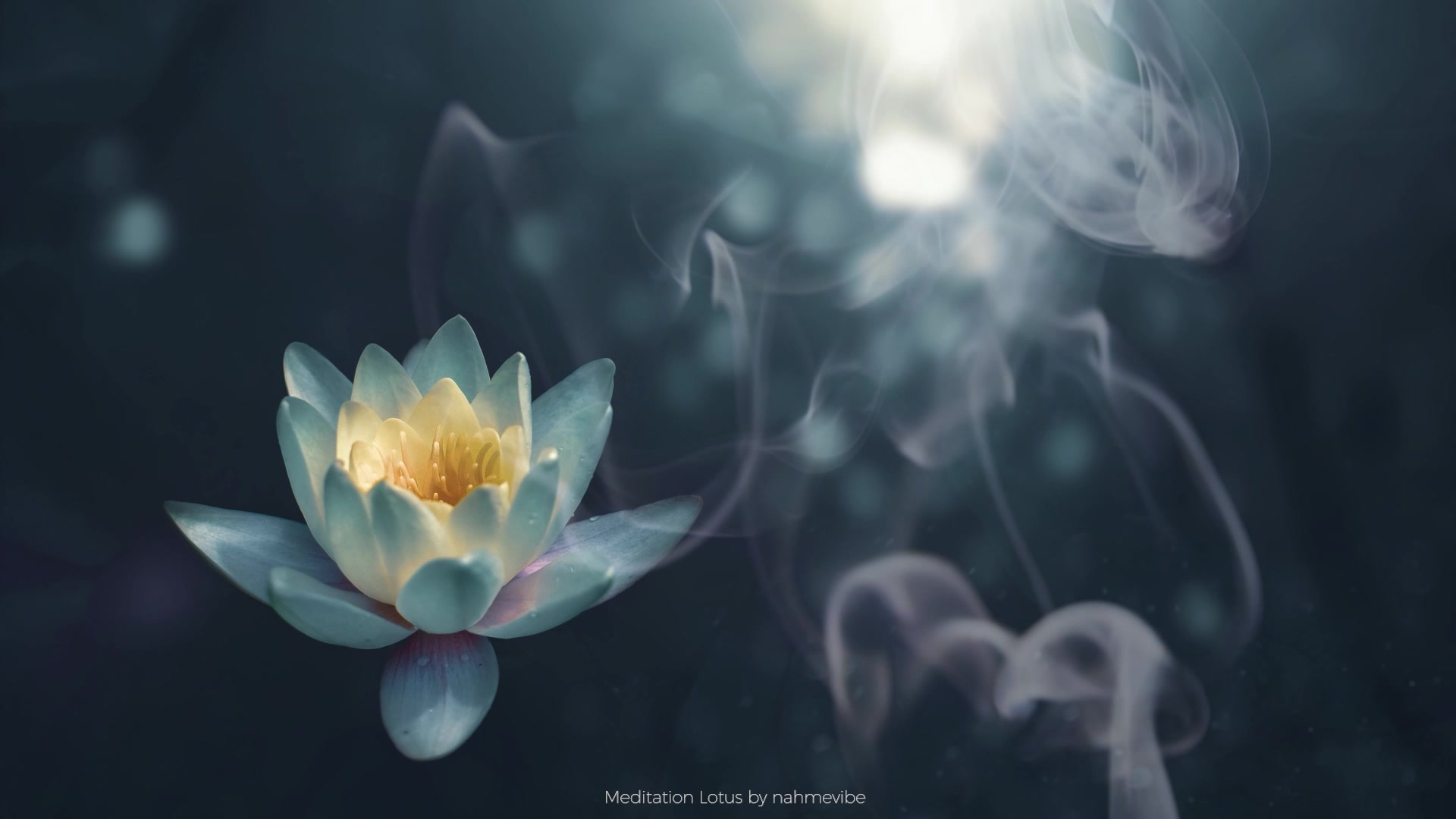 Meditation Lotus 冥想莲花|冥想内省系列 Meditation WITH ME|消除杂念背景音|提升精神力 专注内心 瑜伽 祈祷 冥想 静坐哔哩哔哩bilibili