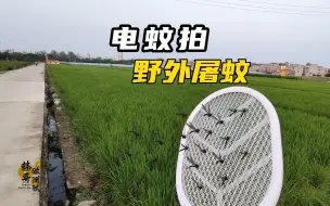 Download Video: 当我拿上电蚊拍来到蚊子的老巢，猎杀时刻已到！