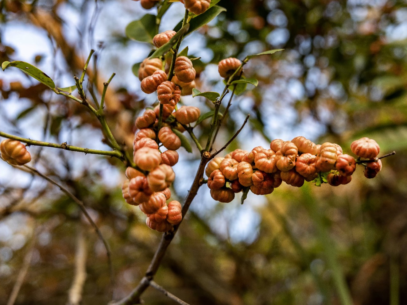 生物多样性保护科普