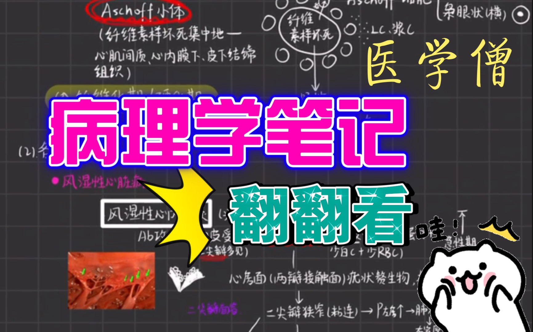 医学生|病理学笔记|ipad|电子笔记|笔记技巧哔哩哔哩bilibili