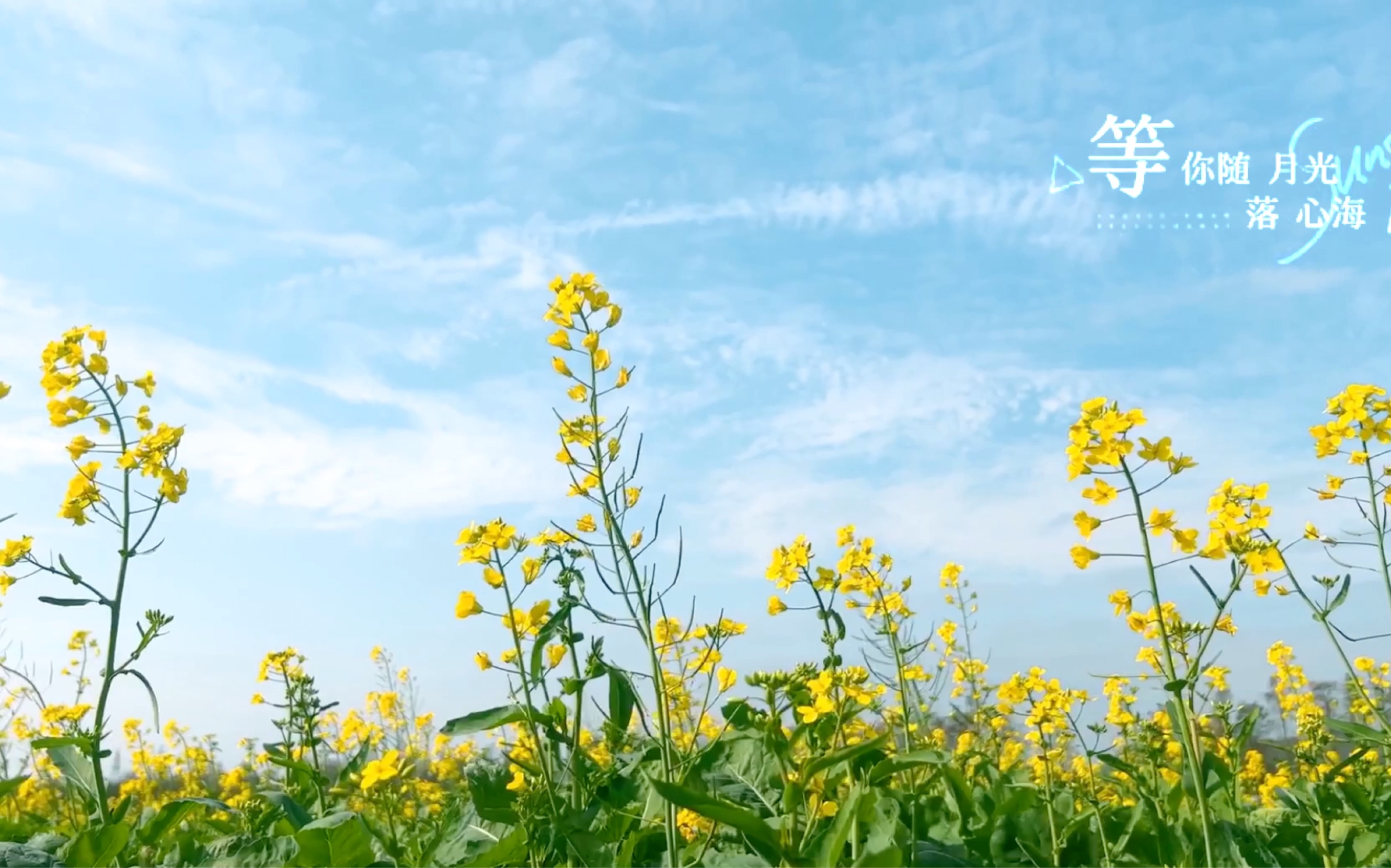 [图]治愈一下吧！！【落日亲吻荧光海】歌词向