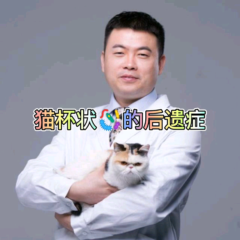 猫杯状病毒的后遗症:猫杯状病毒基本上没有哔哩哔哩bilibili