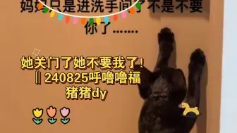 Download Video: 【呼福】她关门了她不要我了！！‖240825呼噜噜福猪猪dy