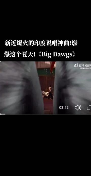 新近爆火的印度说唱神曲!燃爆这个夏天!《Big Dawgs》哔哩哔哩bilibili