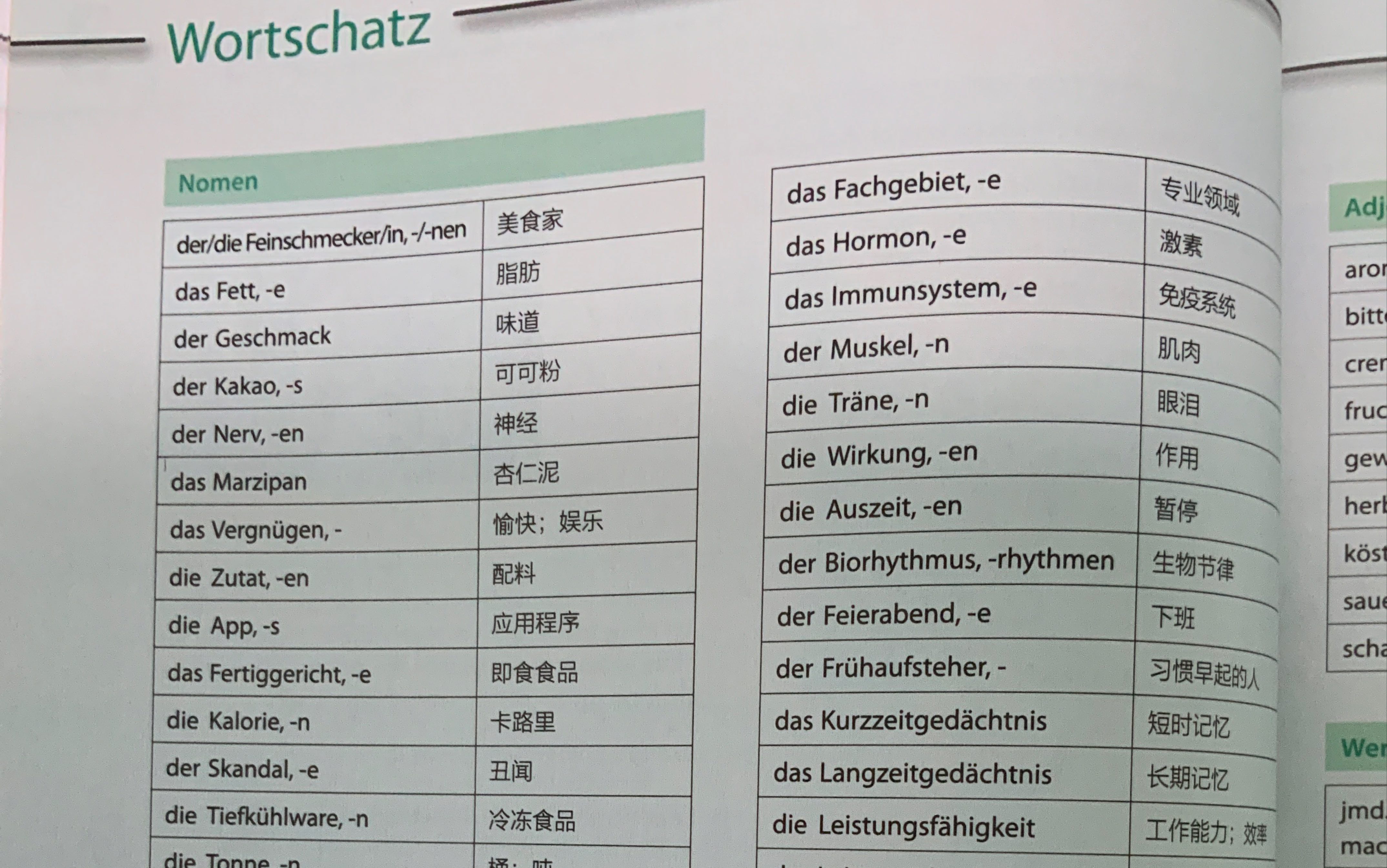 大量查德语单词的方法.德语学习,英文德文同步自学,Deutsch Lerne,English lerning.德语0基础到高阶哔哩哔哩bilibili