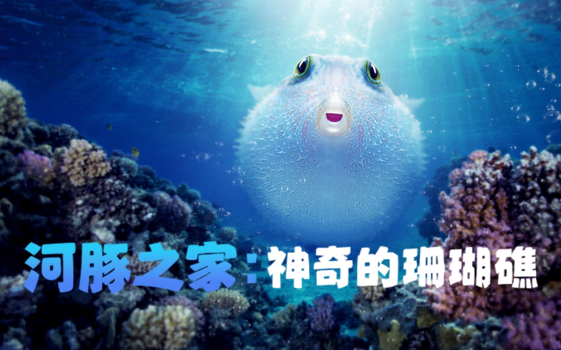 [图]【纪录片】河豚之家：神奇的珊瑚礁 1080P中英双字 （2021）Microworlds: Reef