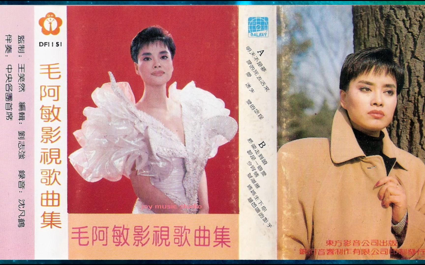 [图]1991年毛阿敏《毛阿敏影视歌曲集》明天不是梦.爱的死去活来.爱.迷失.爱的旅程.终能走到头.都是一个爱.今宵情.双离雁.妈妈生下你.篱笆墙的影子